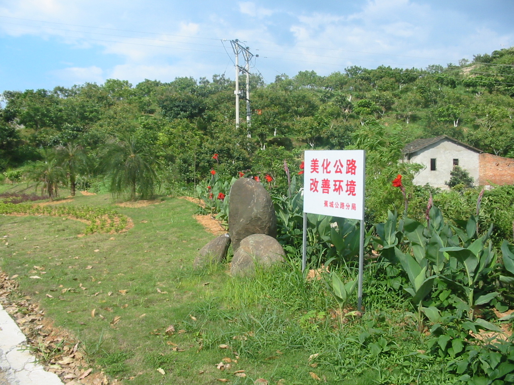 广东新华建工程有限公司